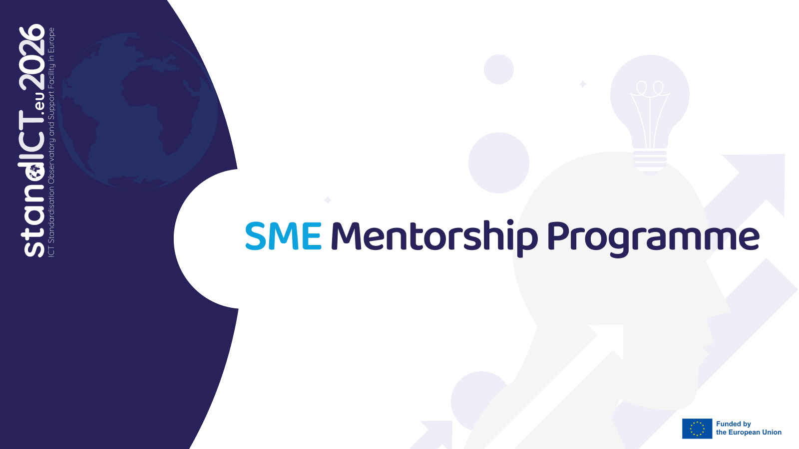 SMEs Mentorship Programme